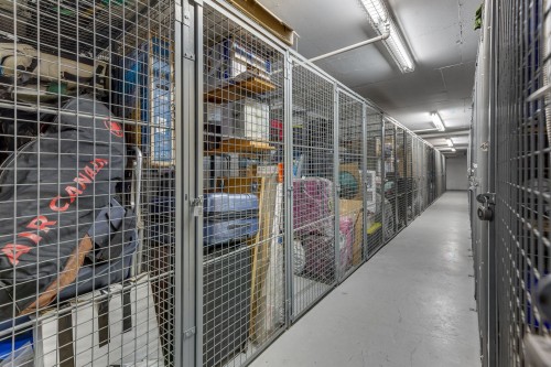 Rangement - 903-1200 Rue St-Jacques, Montréal (Ville-Marie), QC - Indoor With Storage