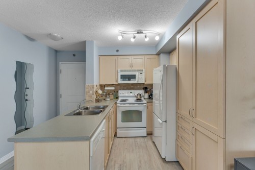 Cuisine - 903-1200 Rue St-Jacques, Montréal (Ville-Marie), QC - Indoor Photo Showing Kitchen With Double Sink