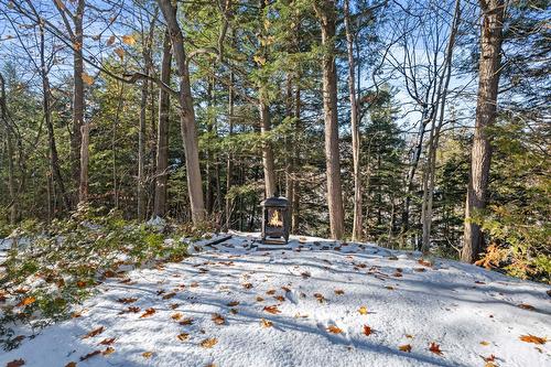 Backyard - 322 Rue Woodland, Brownsburg-Chatham, QC - Outdoor With View