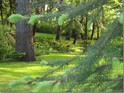 3968 3Rd Ave, Port Alberni, BC 