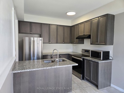 31 Cactus Crescent, Hamilton, ON - Indoor Photo Showing Kitchen With Double Sink