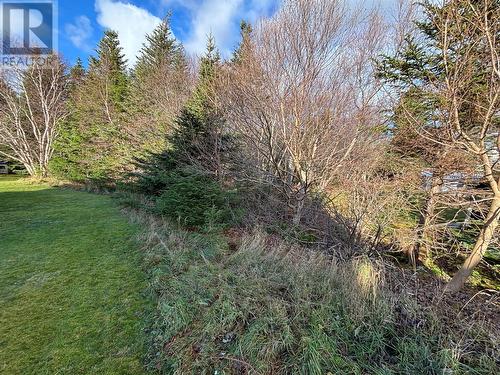 8B Alder Place, St. John'S, NL 