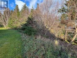 8B Alder Place  St. John's, NL A1A 4Y1