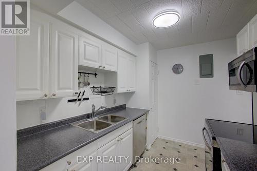 202 - 91 Conroy Crescent, Guelph, ON - Indoor Photo Showing Kitchen With Double Sink