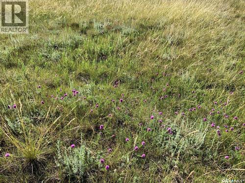 132 Olsen Road, Last Mountain Lake, SK 