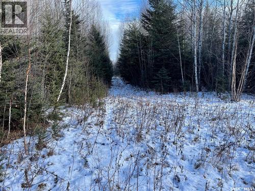 Peifer N. Cabin Lease, Hudson Bay Rm No. 394, SK - Outdoor With View