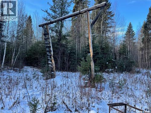 Peifer N. Cabin Lease, Hudson Bay Rm No. 394, SK - Outdoor With View