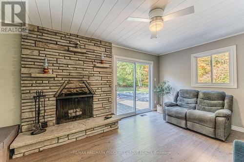 350 5 Concession W, Tiny, ON - Indoor Photo Showing Living Room With Fireplace