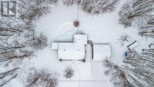 350 5 Concession W, Tiny, ON - Outdoor