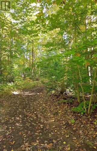 350 5 Concession W, Tiny, ON - Outdoor