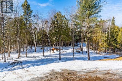 1039 Essonville Line, Highlands East (Monmouth), ON - Outdoor With View