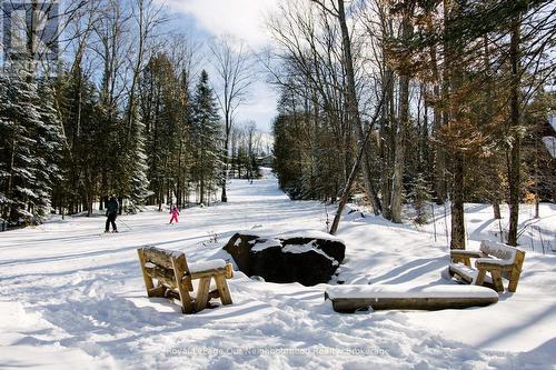 1040 Ski Ridge Trail, Dysart Et Al (Guilford), ON - Outdoor With View