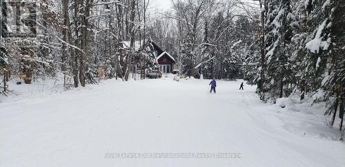 1040 Ski Ridge Trail, Dysart Et Al (Guilford), ON - Outdoor