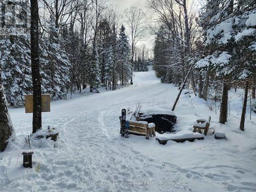 1040 Ski Ridge Trail, Dysart Et Al (Guilford), ON - Outdoor