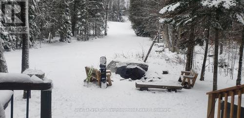 1040 Ski Ridge Trail, Dysart Et Al (Guilford), ON - Outdoor