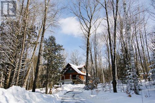 1040 Ski Ridge Trail, Dysart Et Al (Guilford), ON - Outdoor