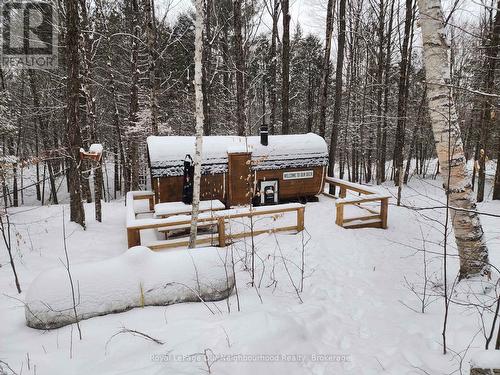 1040 Ski Ridge Trail, Dysart Et Al (Guilford), ON - Outdoor