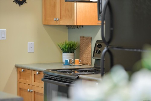 1-1515 Camosun St, Victoria, BC 