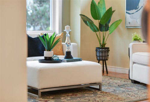 1-1515 Camosun St, Victoria, BC 