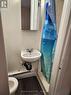52 Dundonald Street, Toronto, ON  - Indoor Photo Showing Bathroom 