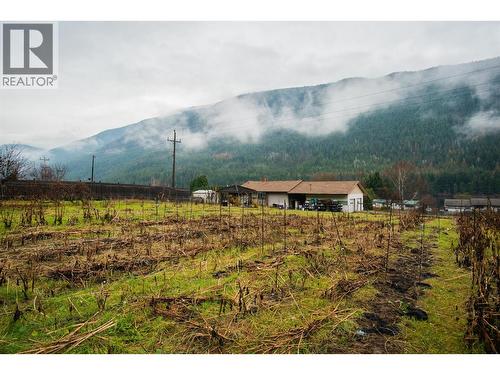 1473 3A Highway, Castlegar, BC - Outdoor With View