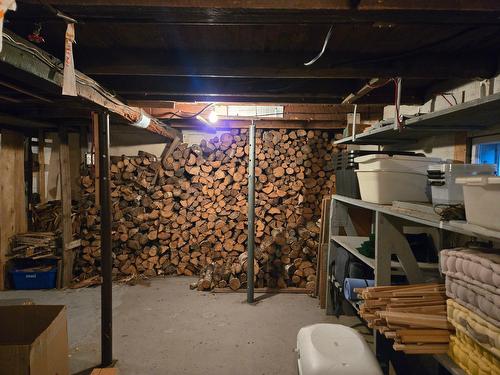 Basement - 132 Av. Du Domaine, Courcelles/Saint-Évariste, QC - Indoor Photo Showing Basement