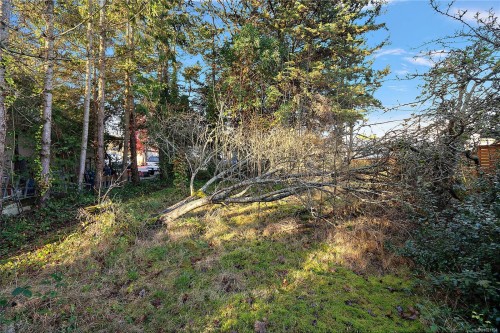 10211 Resthaven Dr, Sidney, BC 