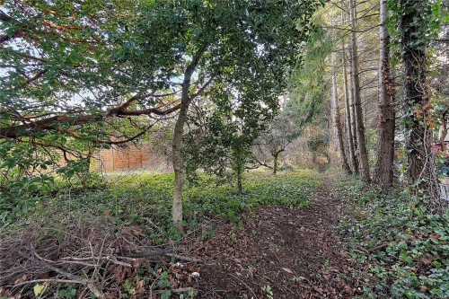 10211 Resthaven Dr, Sidney, BC 