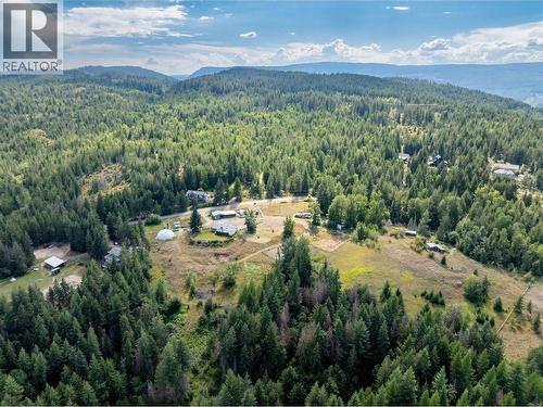 397 Glenmary Road, Enderby, BC - Outdoor With View