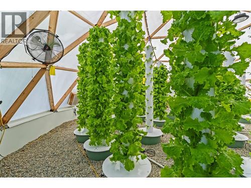 397 Glenmary Road, Enderby, BC - Outdoor