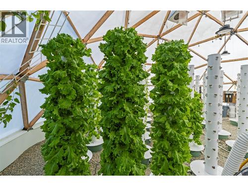 397 Glenmary Road, Enderby, BC - Outdoor With View