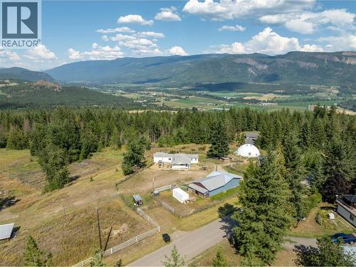 397 Glenmary Road, Enderby, BC - Outdoor With View