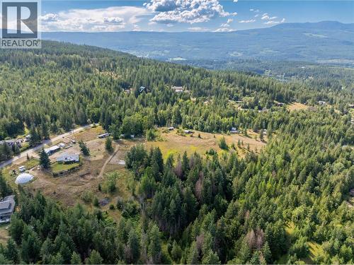 397 Glenmary Road, Enderby, BC - Outdoor With View