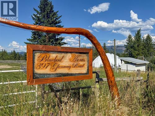 397 Glenmary Road, Enderby, BC - Outdoor With View