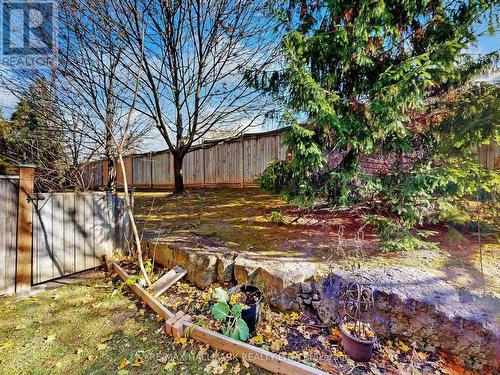 20B - 51 Northern Heights Drive, Richmond Hill, ON - Outdoor