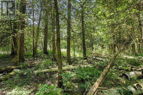 L2-3575 Paden Road, Ottawa, ON 