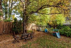 Backyard - 