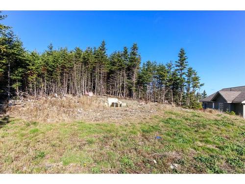 60 Skinners Road, Portugal Cove - St. Philips, NL 