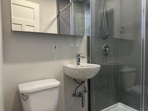 Salle de bains - 2-388 Av. Olivier, Westmount, QC - Indoor Photo Showing Bathroom