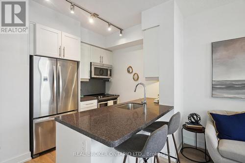 215 - 525 Adelaide Street W, Toronto, ON - Indoor Photo Showing Kitchen With Upgraded Kitchen