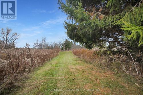 21069 Riverview Drive, Thames Centre, ON - Outdoor With View