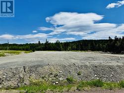 50F Pleasantview Road  Point Leamington, NL A0H 1Z0