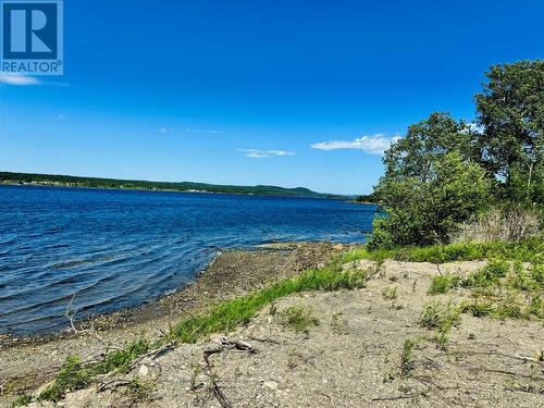 50F Pleasantview Road, Point Leamington, NL 