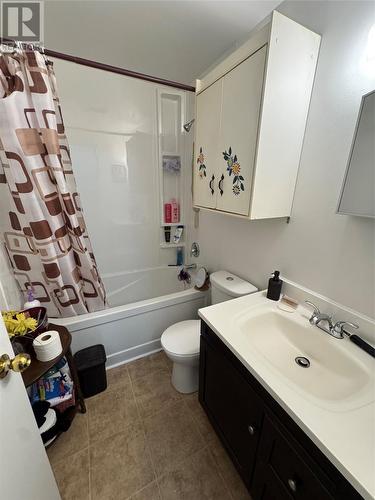 59 Michener Avenue, Mount Pearl, NL - Indoor Photo Showing Bathroom