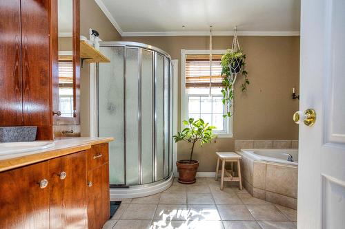 Salle de bains - 1023 Rue Du Grand-Duc, Trois-Rivières, QC - Indoor Photo Showing Bathroom