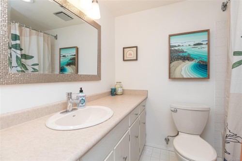101-1540 Dallas Rd, Victoria, BC - Indoor Photo Showing Bathroom