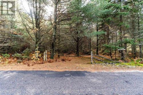 321 Cardwell Lake Road, Huntsville (Stisted), ON 