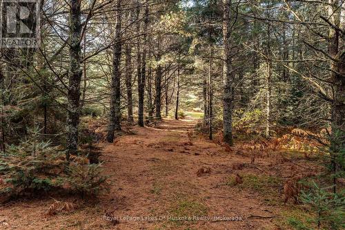 321 Cardwell Lake Road, Huntsville (Stisted), ON 