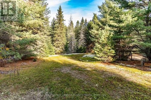 321 Cardwell Lake Road, Huntsville (Stisted), ON 