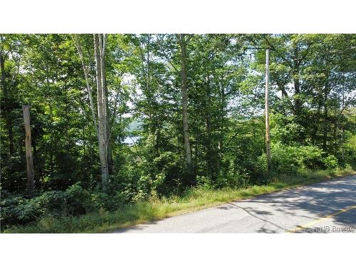 1 Vacant Land Route 105, Bear Island, NB 